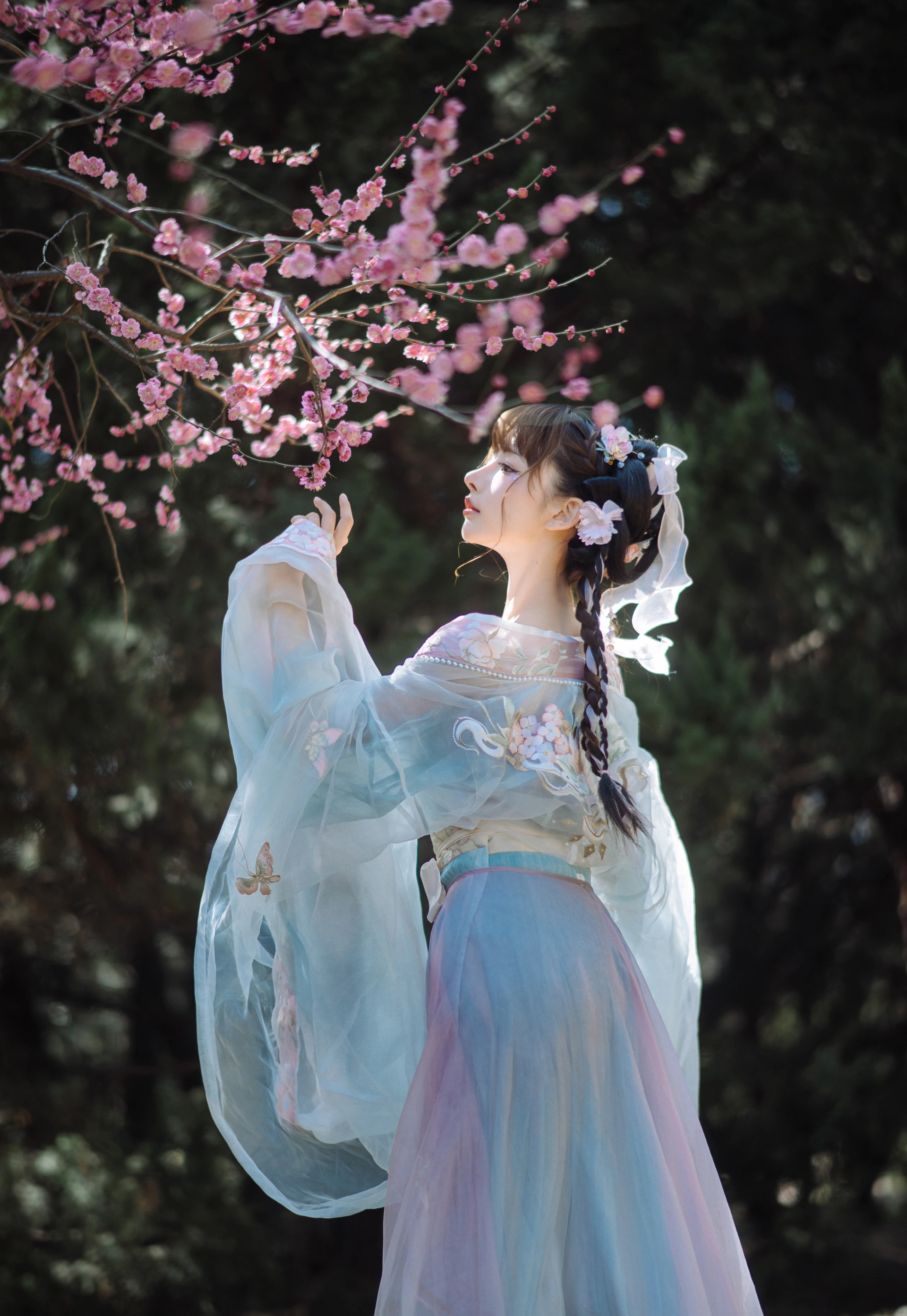 紫氯氯 - NO.07 二月梅花 3